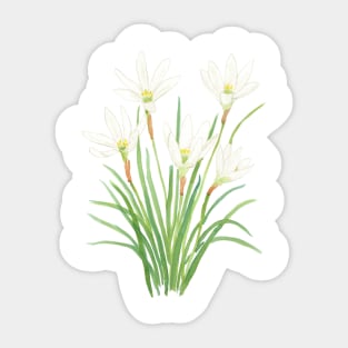 white rain lily watercolor flowers Sticker